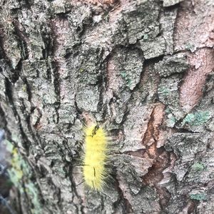 Meet your Posher, Stacey